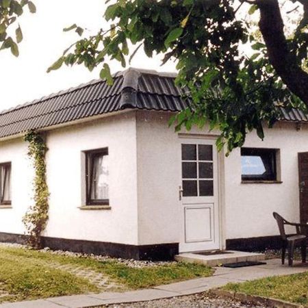 Ferienhaus Karger 马尔洛 外观 照片